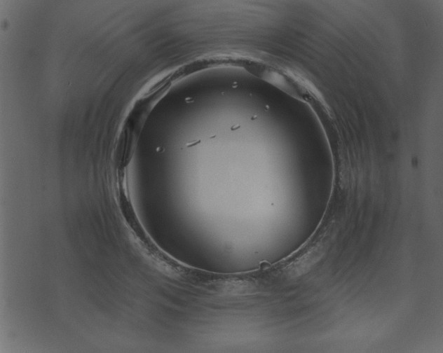 X0000071760984200606301126