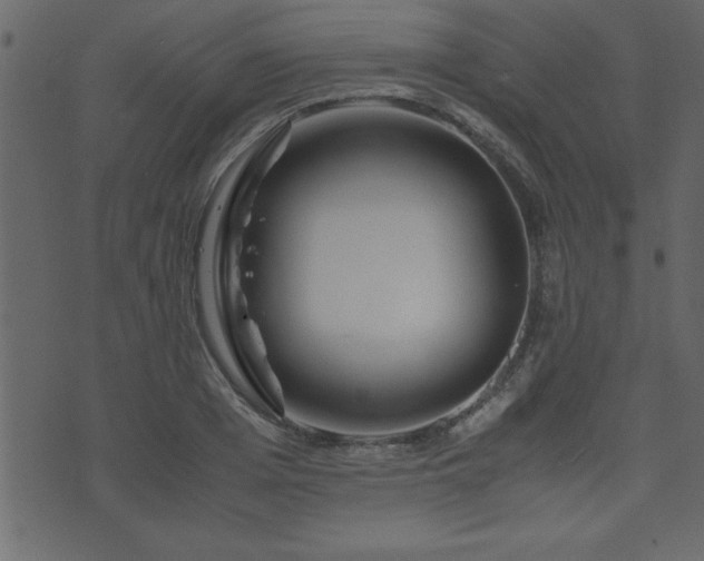 X0000071760985200606301126