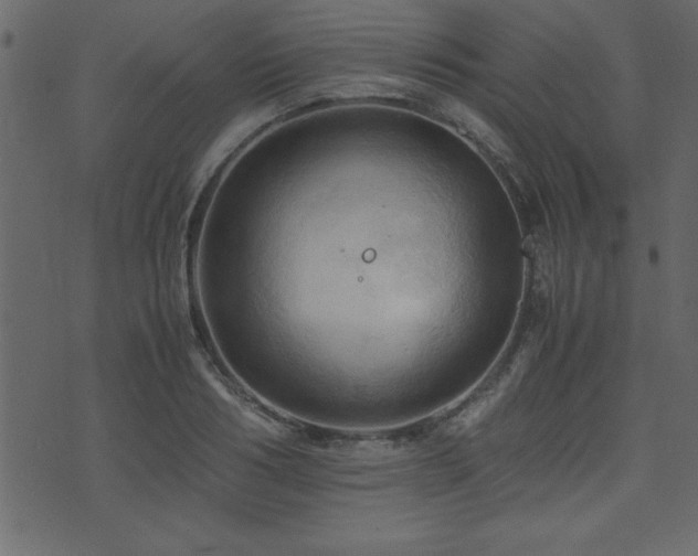 X0000071760986200606301126