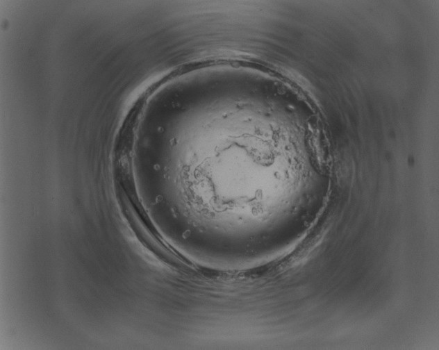 X0000071760987200606301126