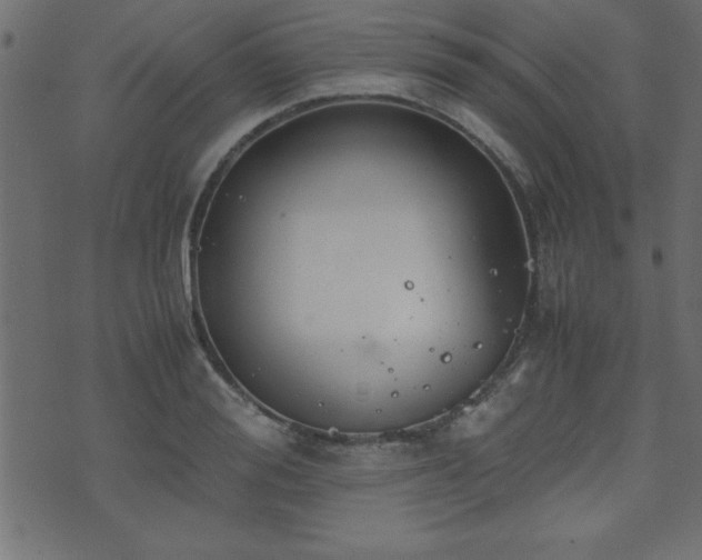 X0000071760988200606301126