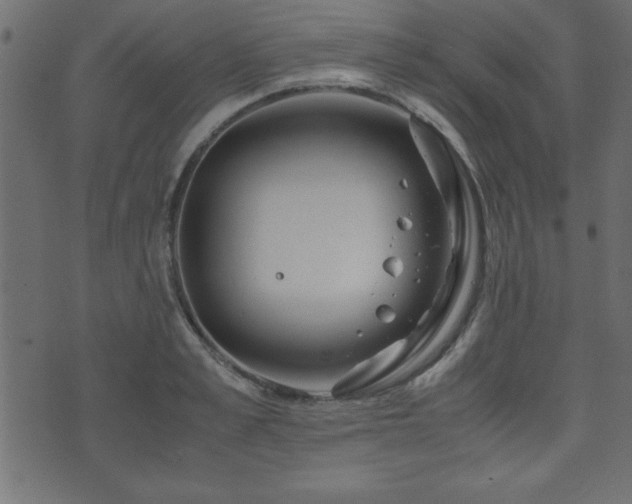 X0000071760989200606301126