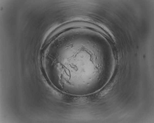 X0000071760991200606301126