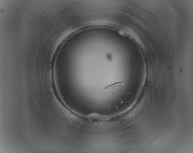 X0000071760992200606301126