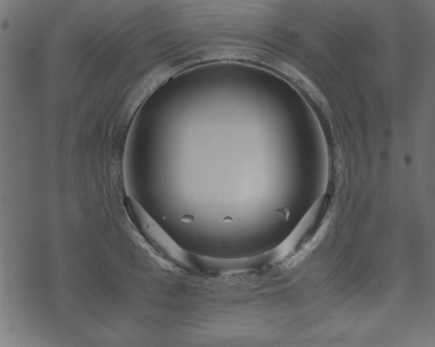 X0000071760993200606301126