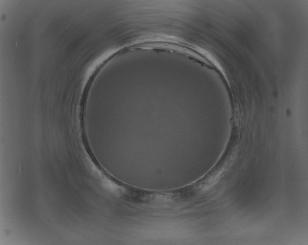 X0000071760995200606301126