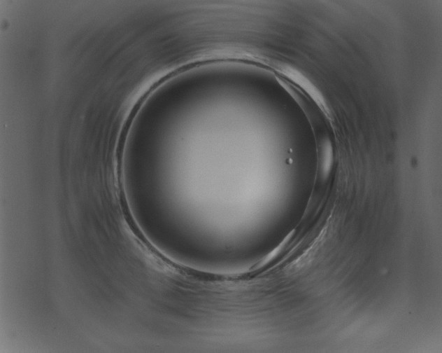 X0000071760996200606301126