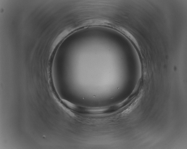 X0000071760997200606301126