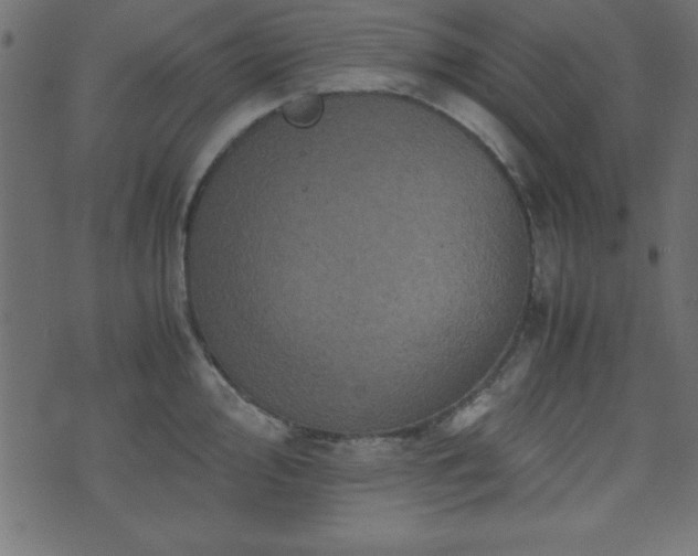 X0000071761000200606301126