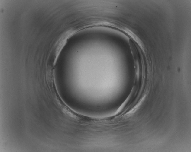 X0000071761001200606301126