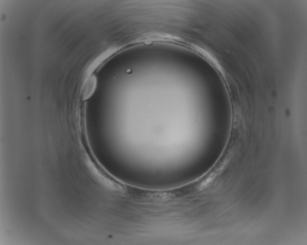 X0000071761003200606301126