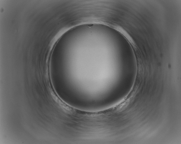 X0000071761004200606301126