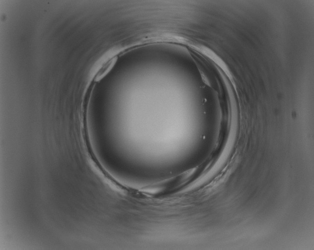 X0000071761005200606301126