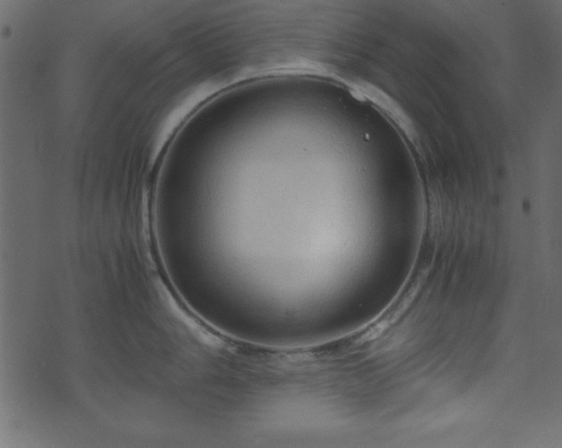 X0000071761006200606301126