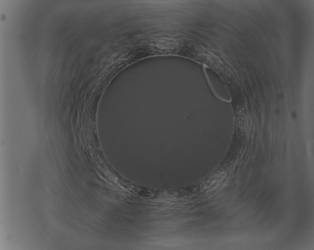 X0000071761009200606301125