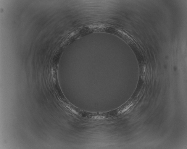 X0000071761010200606301125