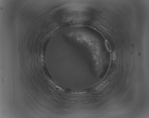 X0000071761011200606301125