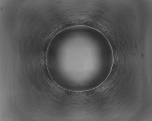 X0000071761012200606301125