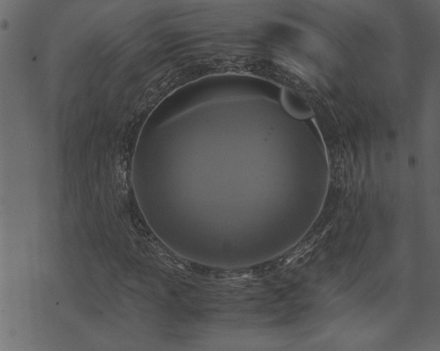 X0000071761013200606301125