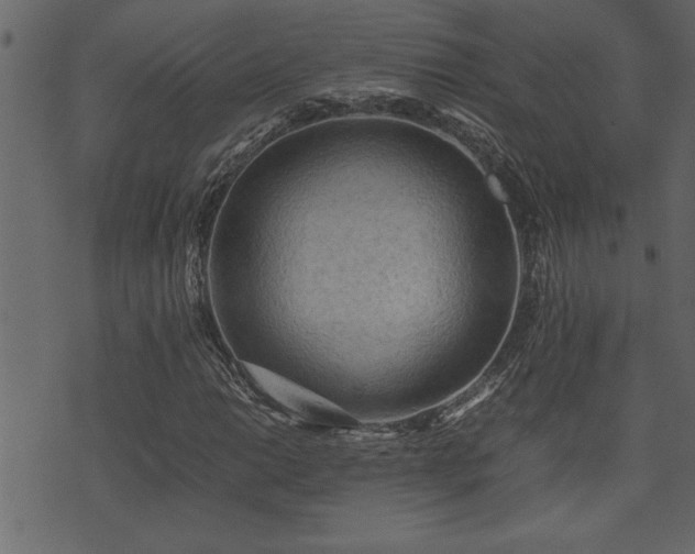 X0000071761014200606301125