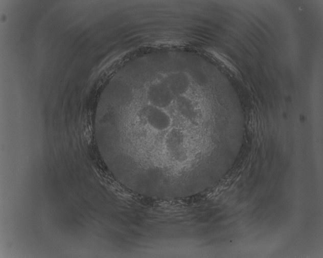 X0000071761015200606301125