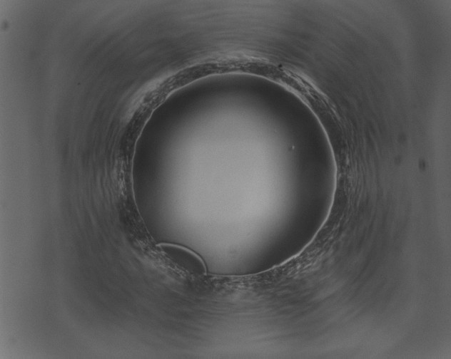 X0000071761016200606301125