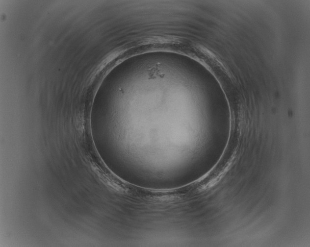 X0000071761017200606301125