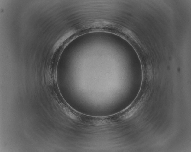 X0000071761018200606301125