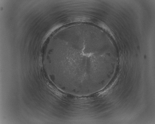 X0000071761019200606301125