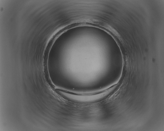 X0000071761020200606301125