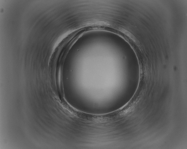 X0000071761022200606301125