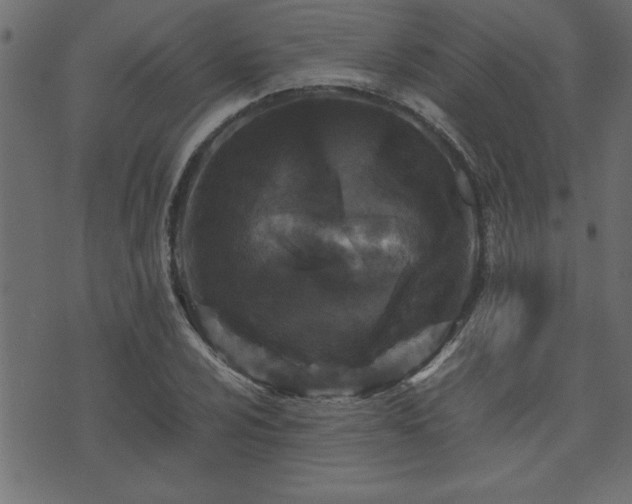 X0000071761024200606301125