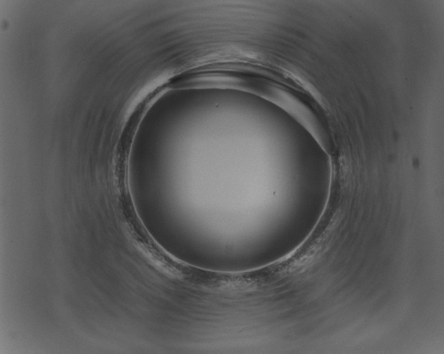 X0000071761026200606301125