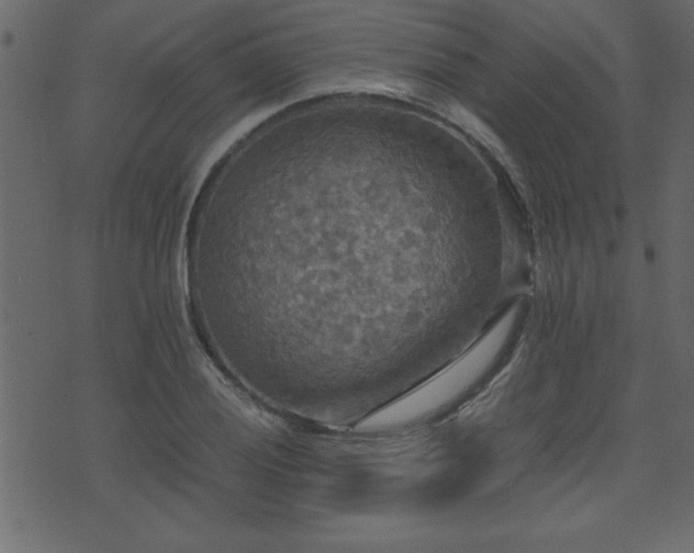 X0000071761028200606301125