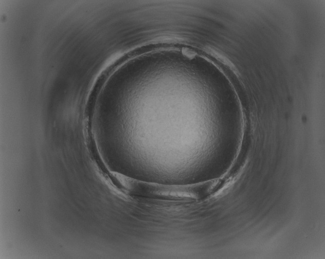 X0000071761029200606301125