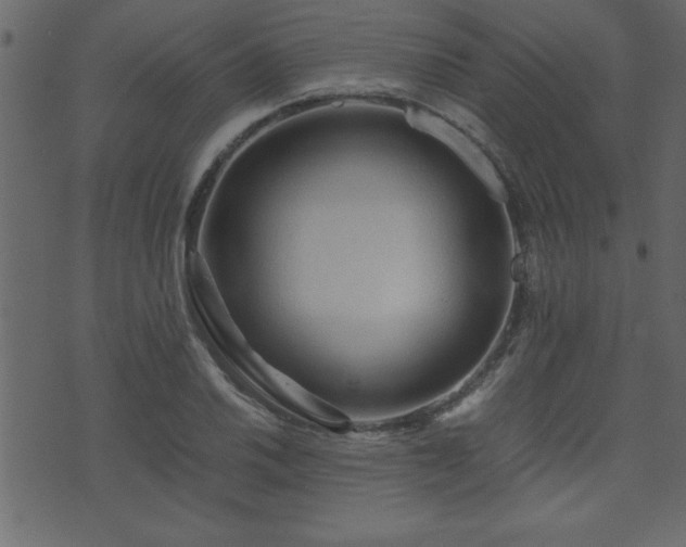 X0000071761030200606301125