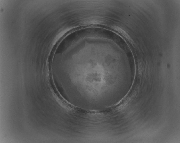 X0000071761031200606301125