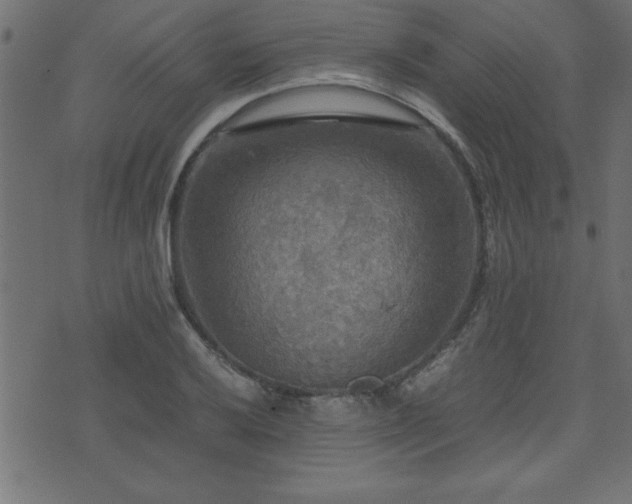 X0000071761032200606301125