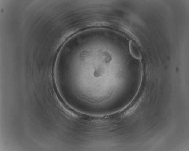 X0000071761033200606301125