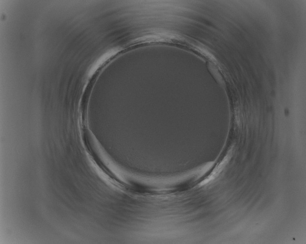 X0000071761034200606301125