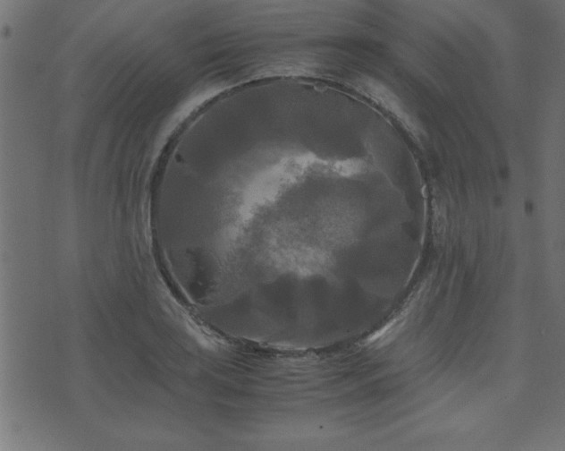 X0000071761035200606301125