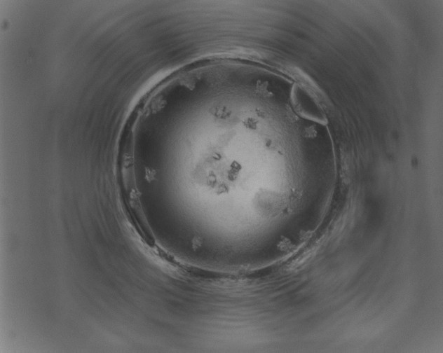 X0000071761036200606301125