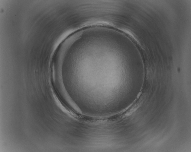 X0000071761038200606301125