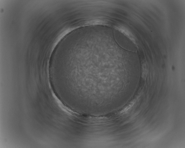 X0000071761039200606301125