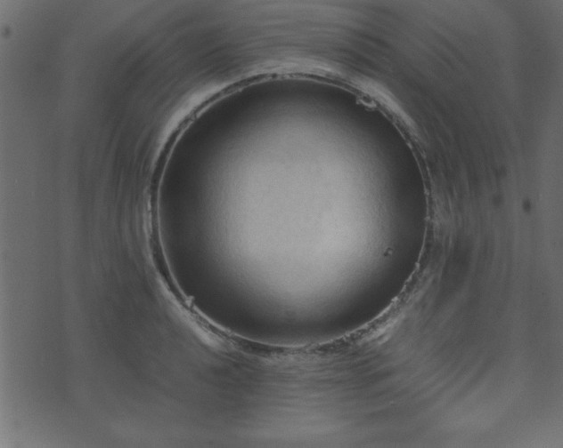 X0000071761040200606301125