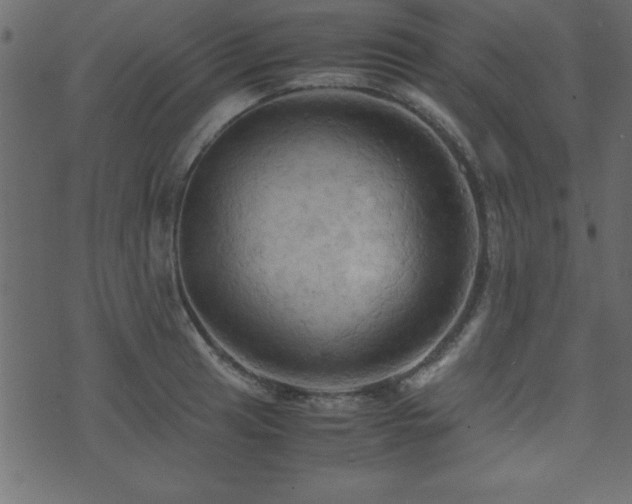 X0000071761041200606301125