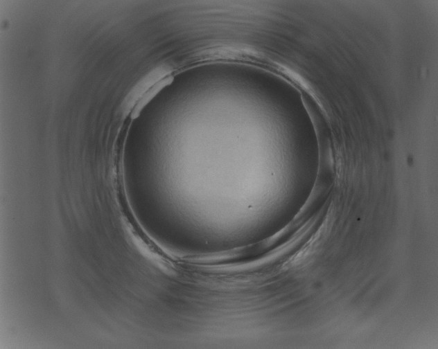 X0000071761042200606301125