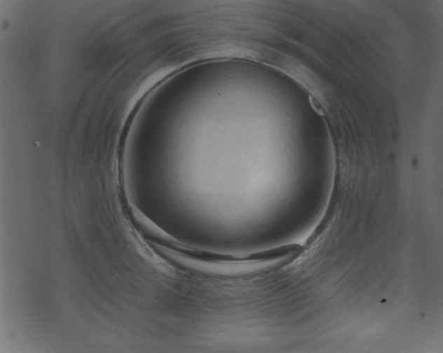 X0000071761044200606301125