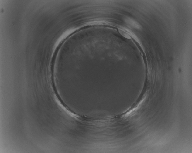 X0000071761045200606301125