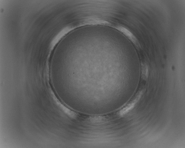 X0000071761046200606301125